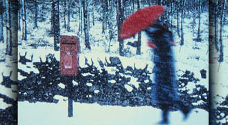 Today's Article Image