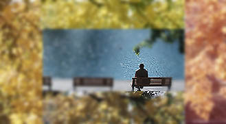 Today's Article Image