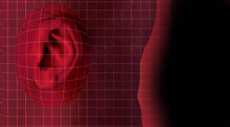 Today's Article Image