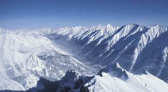 Today's Article Image