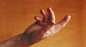 Today's Article Image