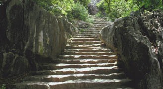 Today's Article Image