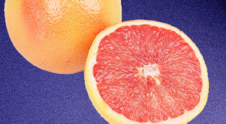 Today's Article Image