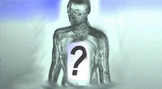 Today's Article Image