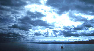 Today's Article Image