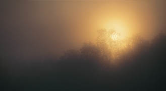 Today's Article Image