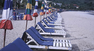 Today's Article Image